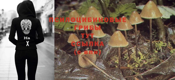 СК Алзамай