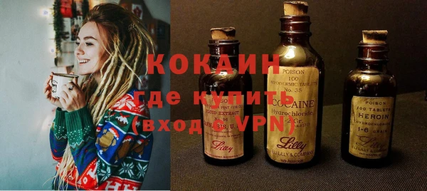 гашик Арсеньев