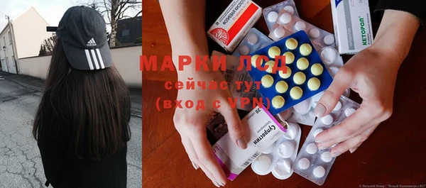 гашик Арсеньев