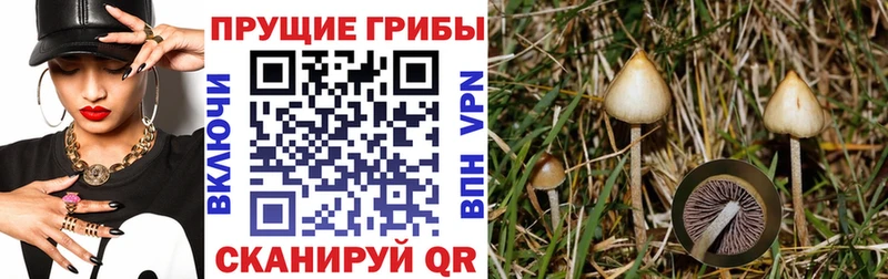 Псилоцибиновые грибы Psilocybine cubensis  продажа наркотиков  Усть-Кут 